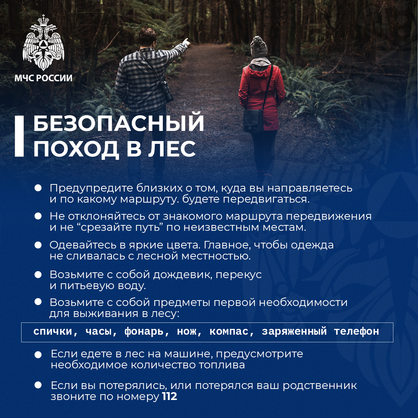 МЧС России: Безопасный поход в лес